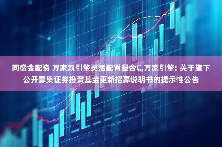 同盛金配资 万家双引擎灵活配置混合C,万家引擎: 关于旗下公开募集证券投资基金更新招募说明书的提示性公告