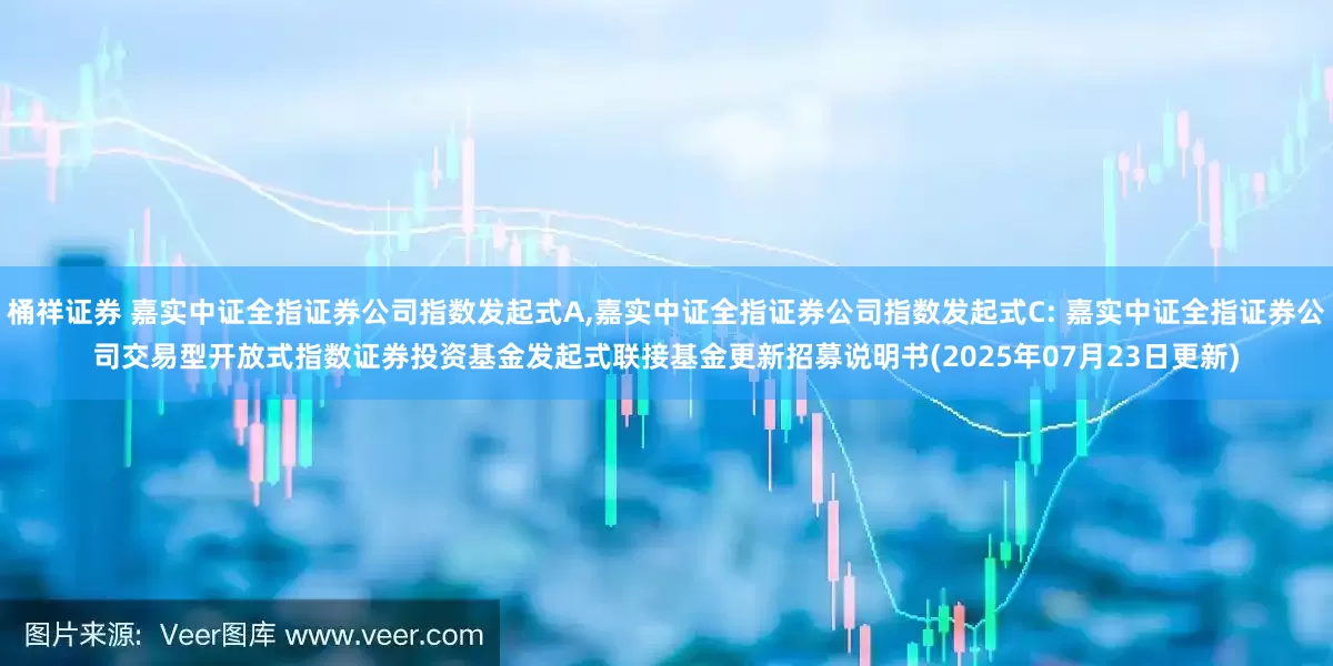 桶祥证券 嘉实中证全指证券公司指数发起式A,嘉实中证全指证券公司指数发起式C: 嘉实中证全指证券公司交易型开放式指数证券投资基金发起式联接基金更新招募说明书(2025年07月23日更新)